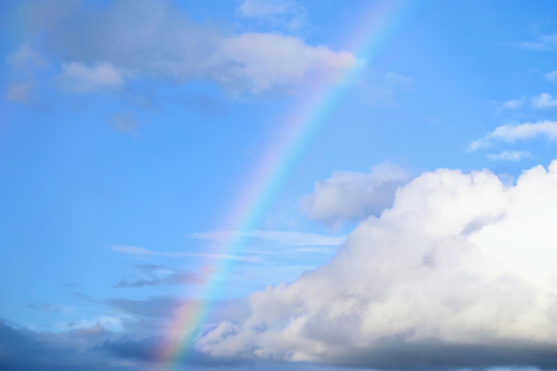 合同会社SKYイメージ画像